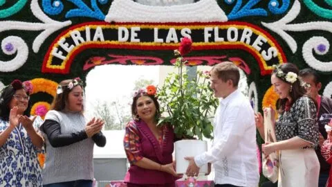 Feria de las Flores de San Ángel 2026: conciertos gratis de Matute, Sonora Dinamita y Los Askis