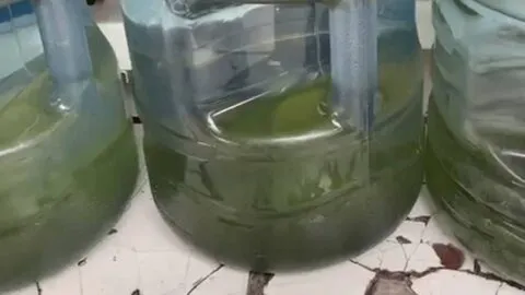 Aprueban descuentos de hasta 80% en recibos de agua por mala calidad en Jalisco