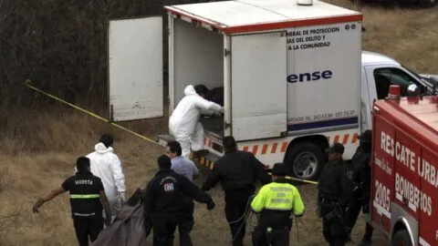 Macabro hallazgo en Veracruz: encuentran al menos cinco cuerpos junto a la autopista Orizaba-Puebla