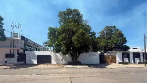Suman tres detenidos por el feminicidio de Dafne Zapata Quintos; así avanza la investigación
