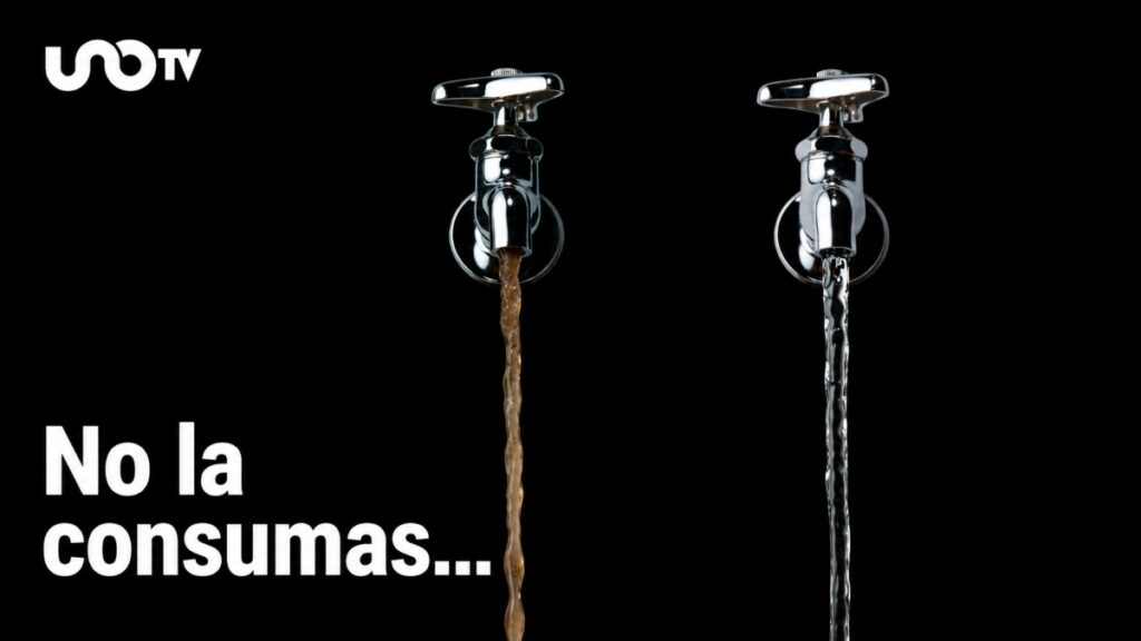 Agua turbia o con mal olor: cuándo no debe utilizarse para beber o cocinar