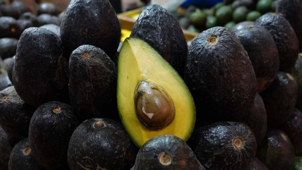 Aguacate
