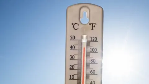 Ola de calor activa alertas en 19 estados de EE. UU.