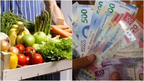 FAO revela aumento de 25% en el costo de una alimentación saludable en cinco años