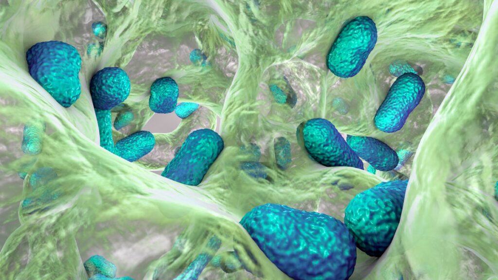UNAM advierte que bacteria peligrosa para los humanos se aloja en animales, agua y alimentos