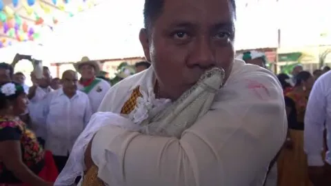 Se dieron el sí, alcalde de Oaxaca se casa con caimán en ritual ancestral
