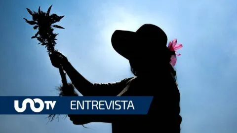 Campo mexicano enfrenta menor rentabilidad y aumenta riesgo para la producción