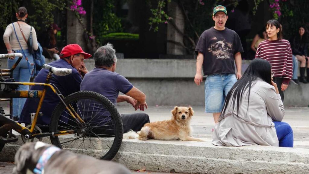 Ciudades del país donde la gente se siente más segura