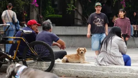 Las 5 ciudades y alcaldías donde la gente se siente más segura en México, según el Inegi