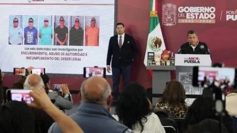 Con inteligencia y estrategia, Gobierno estatal desmantela producción de estupefacientes en la Sierra Norte