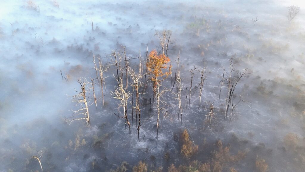 Continúa el combate a incendios en Francia y España, mientras inicia otra ola de calor