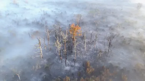 Continúa el combate a incendios en Francia y España, mientras inicia otra ola de calor