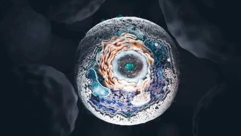 Científicos crean la primera célula sintética, podría transformar la ingeniería biológica
