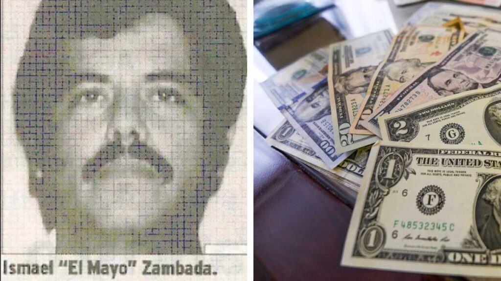 Decomiso al "Mayo" Zambada