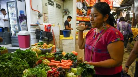 Edomex abre registro para apoyo de hasta 90 mil pesos; estos son los requisitos