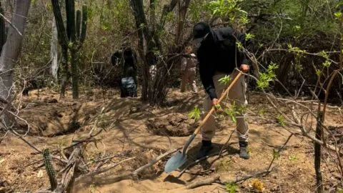 Descubren dos fosas clandestinas en San José del Cabo, en Baja California Sur