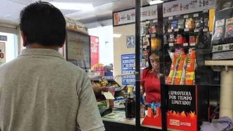 Empleo formal en México suma 22.7 millones de trabajadores al cierre del primer semestre de 2026