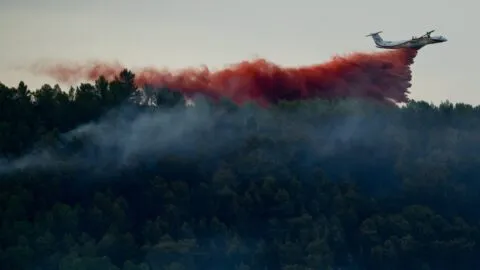 Europa enfrenta un mes marcado por las altas temperaturas y los incendios forestales