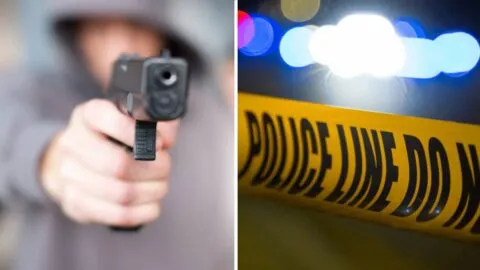 VIDEO: tiroteo en centro comercial de Michigan deja dos muertos y un herido