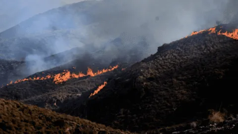 Miles vuelven a sus viviendas tras estabilización del incendio en España