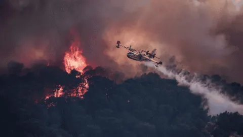 Incendio forestal en Cap-Ferret, Francia, obliga a evacuar a 40 mil personas