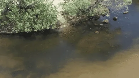 Derrame de hidrocarburos en Salina Cruz moviliza limpieza en cuatro playas
