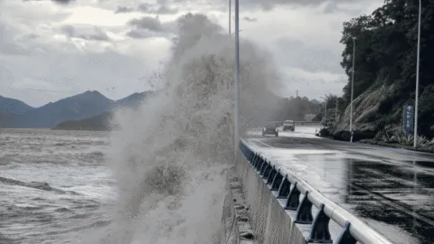 Video: peligroso tifón Bavi toca tierra y golpea China; deja evacuados y severas afectaciones