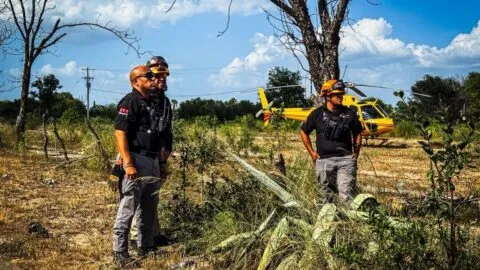 Así fue como Ingrid Valenzuela pidió auxilio en redes tras desplomarse la avioneta en Pesquería, Nuevo León
