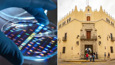 El ADN podría revelar cómo era una persona desaparecida; así funciona el proyecto mexicano
