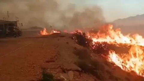 VIDEOS: incendio forestal consume vehículos y deja 6 muertos en España