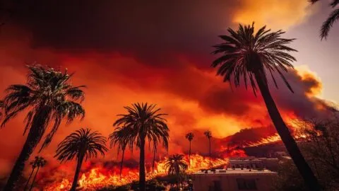 El cambio climático intensifica los incendios forestales en California