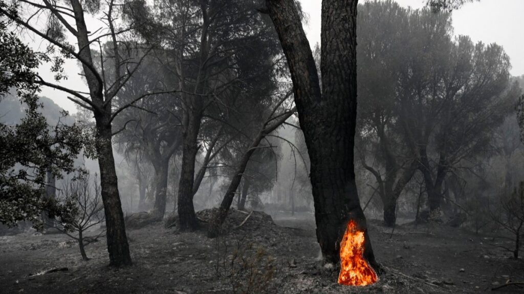 Diversos países de Europa tienen incendios forestales. Foto: AFP