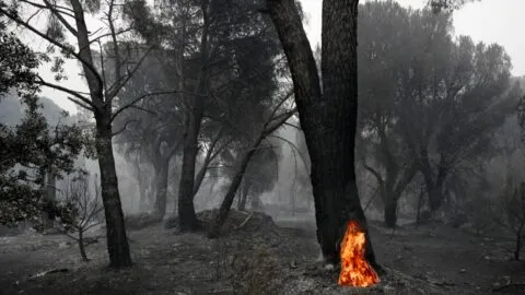 Incendios fuera de control en Europa dejan más de 300 mil evacuados y al menos una decena de muertos