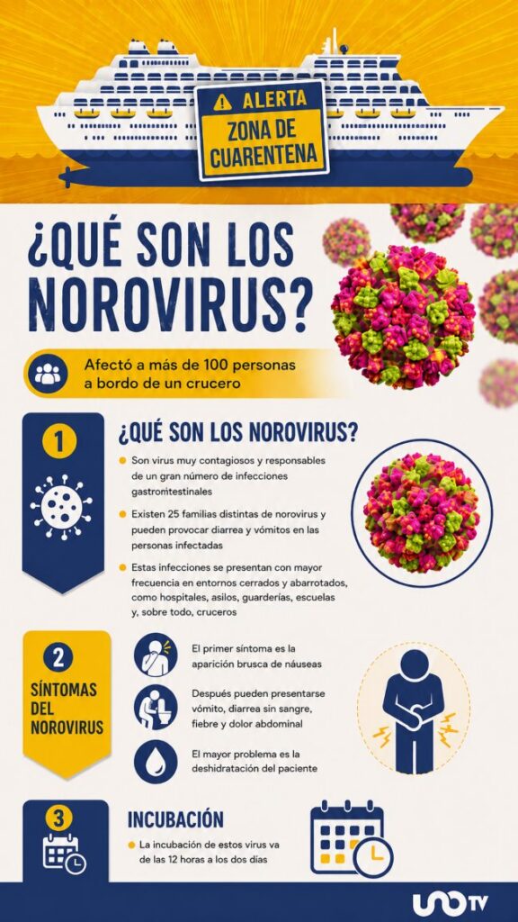 Infografía sobre los norovirus
