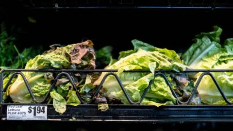Qué tan seguro es comer lechuga tras el brote de ciclosporiasis que provoca la “diarrea explosiva”