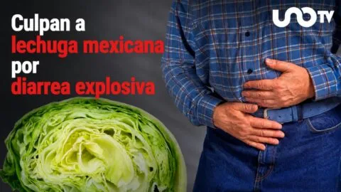 Culpan a lechuga mexicana por brotes de diarrea explosiva en varios estados de EE. UU.