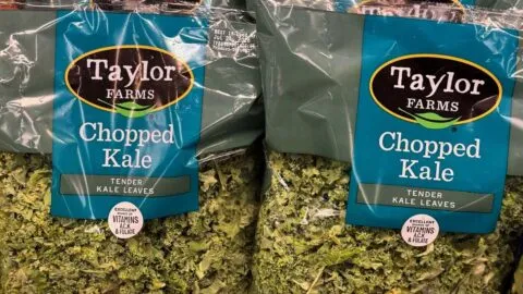 Cofepris descarta Cyclospora en lechugas de Taylor Farms México tras análisis de laboratorio