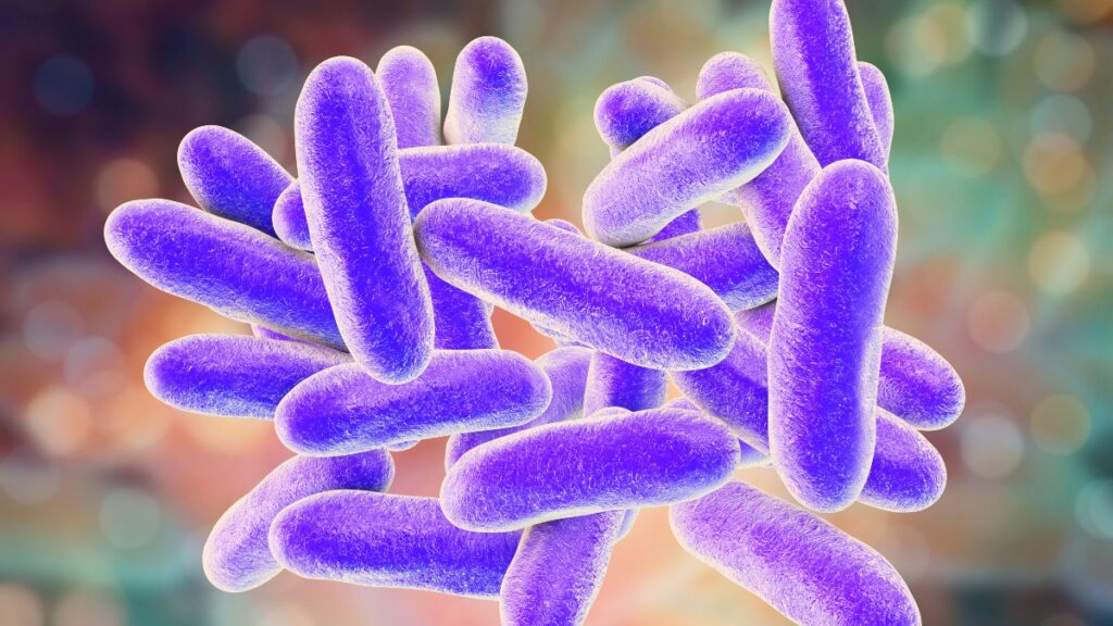 Inicia cómo gripe: qué es la legionelosis y cómo se contagia