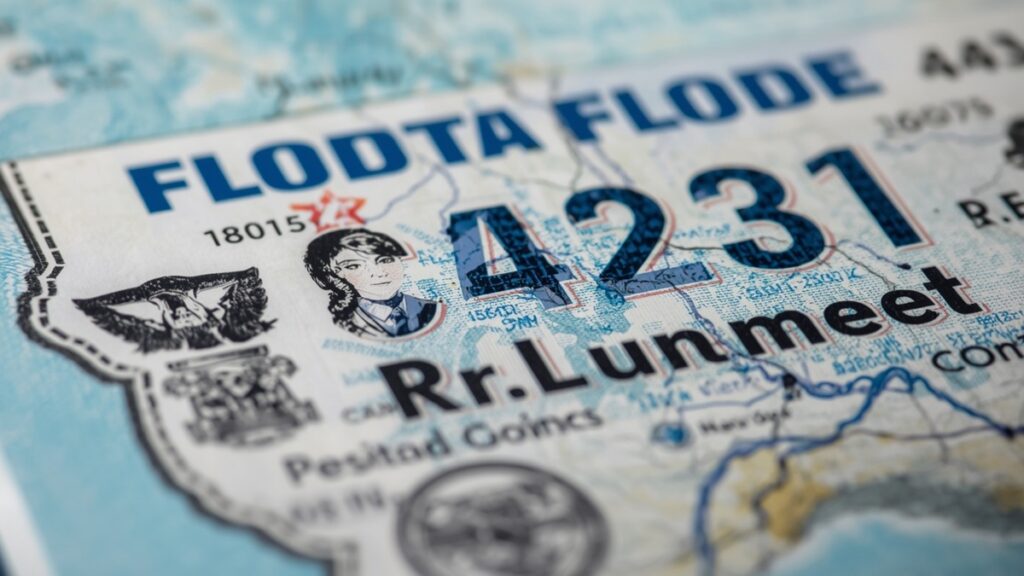 Licencias de conducir en Florida