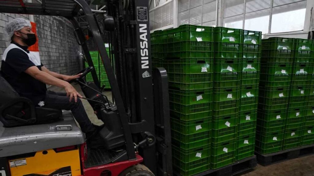 Que productos no pagarían aranceles de 10%
