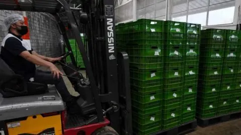 México ante nuevos aranceles de EE. UU.: ¿qué productos pagan el 10% y cuáles no?