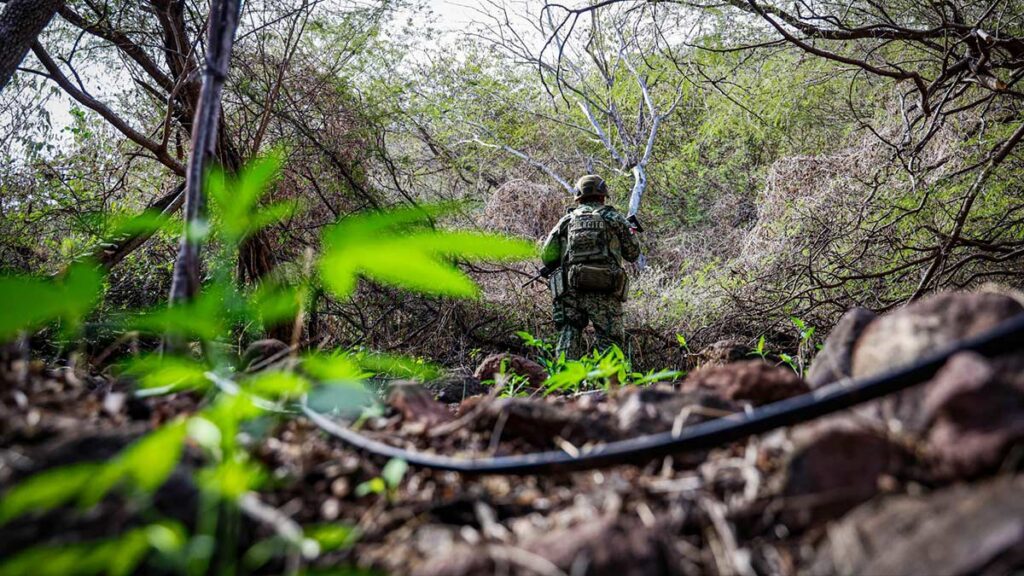 DEA, cárteles y Gobierno de México centran el debate