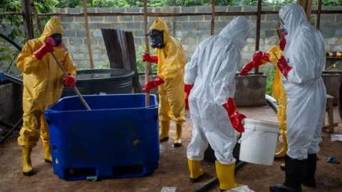 Un bosque, vapores tóxicos y tres mexicanos: la historia detrás del mayor narcolaboratorio de Nigeria