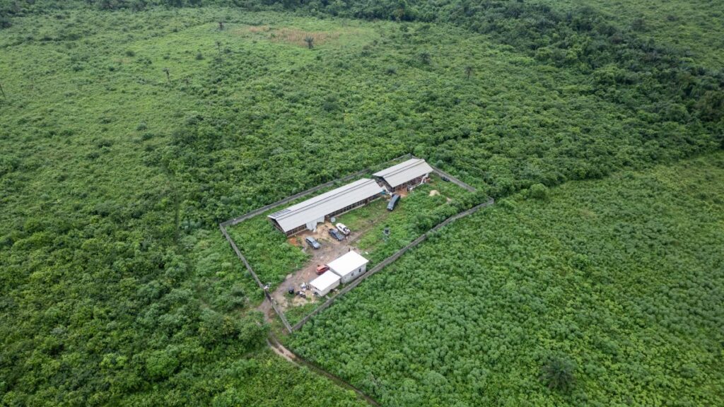 Narcolaborario en Nigeria descubierto tras la detención de tres mexicanos