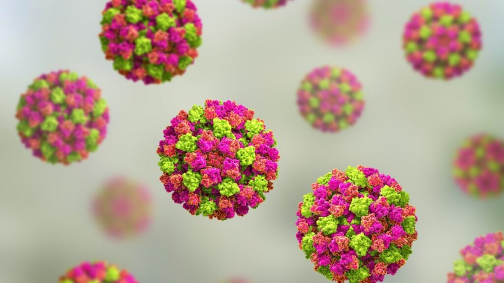Norovirus se propaga en crucero: ¿qué es esta enfermedad y cuáles son sus síntomas?