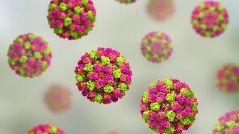 Norovirus afecta a más de 100 personas en crucero en Estados Unidos: síntomas y cómo se propaga
