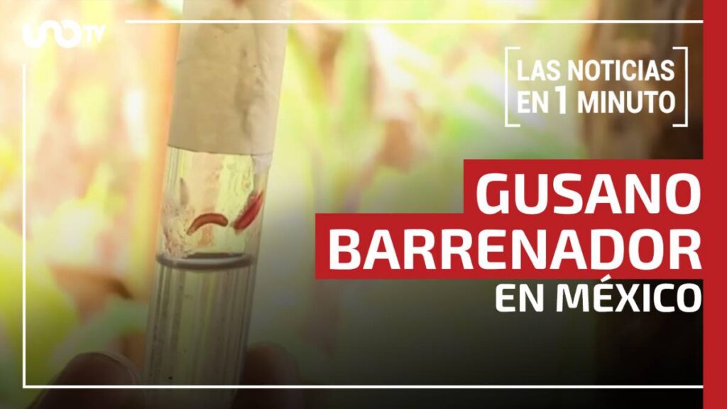 Noticias de hoy 7 de julio de 2026, en un minuto, hasta las 19:00 horas