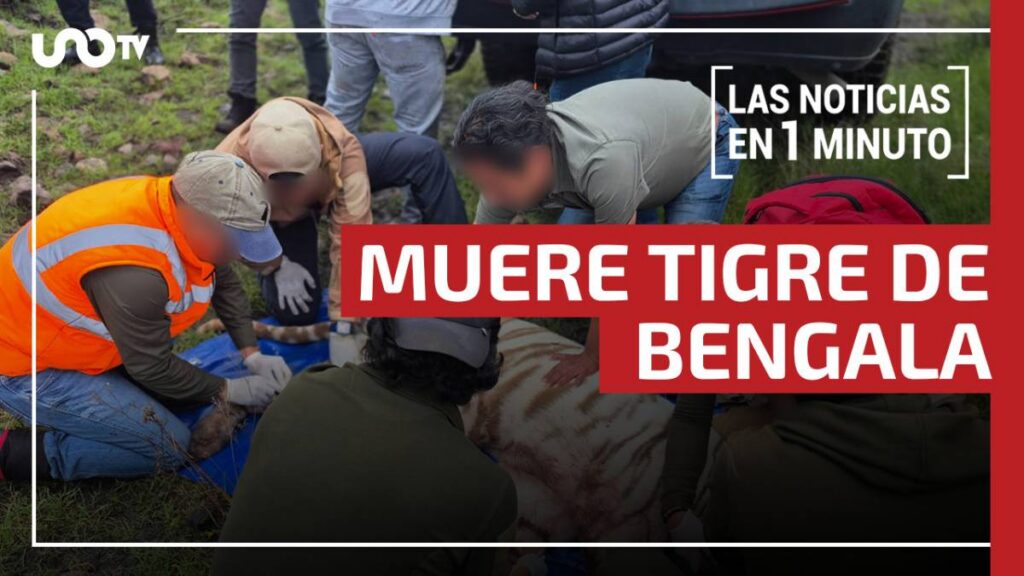 Noticias de hoy 2 de julio de 2026, en un minuto, hasta las 19:00 horas