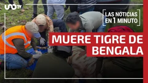 Noticias de hoy 2 de julio de 2026, en un minuto, hasta las 19:00 horas