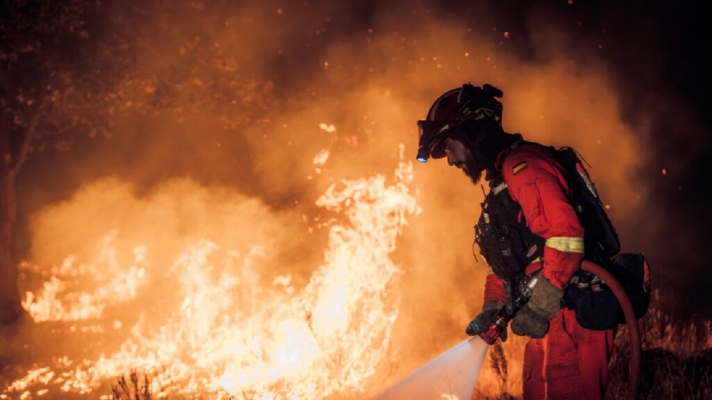Olas de calor provocan cientos de incendios forestales en Francia, Italia y España
